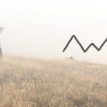 Linearetta Logo