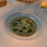 Seta Comida