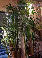 Fioraio Bianchi Caffè outside