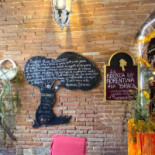 Degli Archi inside