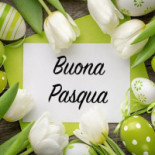 Mashti Bebida