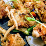 Mò Cibo
