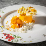 Mò Comida
