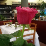 Limone À l'intérieur