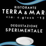 Terra E Mare Logo