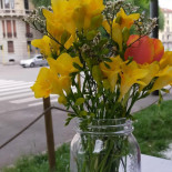 Grom Extérieur