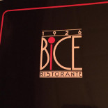 Bice Logo