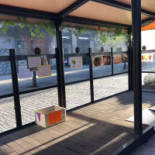 Amico outside
