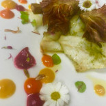 Zelmira food