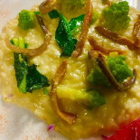 Zelmira food