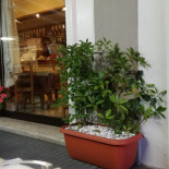 Vesuvio Exterior