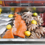 Shalter Comida