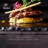 Shalter Carta