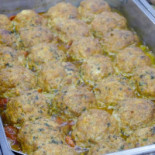 Shalter Comida