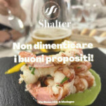 Shalter Bebida