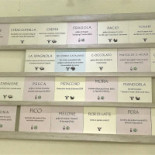 Gelateria Bloom Carta