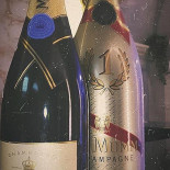 Palato Molfetta Boisson