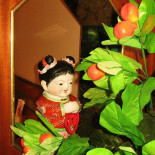 La Perla Bebida