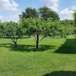 Cascina Frutteto Extérieur
