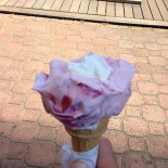 Gelateria Vignolese drink
