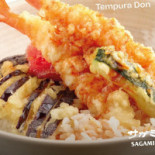 Sagami Modena Comida