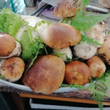 Al 48 Comida