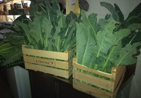 Bellavita Pizzeria drink