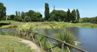 Zenzero Ristorante Pizzeria Bar outside