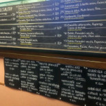 Pizza Export Carte