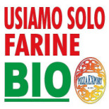 Pizza Export Logo