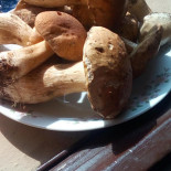 Condicio Comida