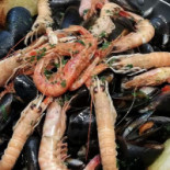Squid Food