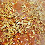 Squid Nourriture