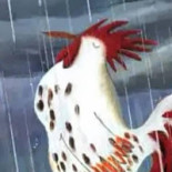 Pronto Gallo Nourriture