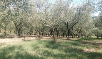 Locanda Agricola Posapiano outside
