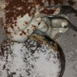 Nostro Pizzeria Casal Palocco Boisson