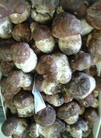 Al Borgo Antico food