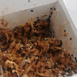 'o Wok Comida