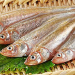 Acquasanta Food