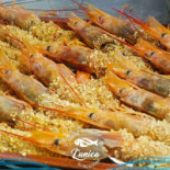 Riva Nourriture