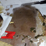 Pizzeria Le Garçon Nourriture