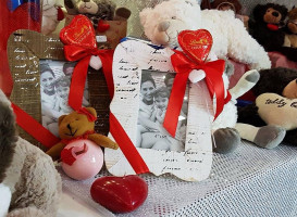 De Vivo Tabaccheria Elfbar Point drink