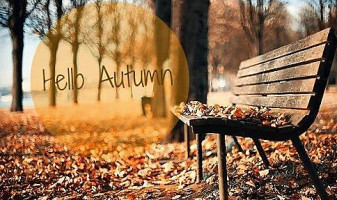 Pizzeria Florida drink