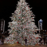 Designer Outlet Noventa Di Piave Bebida
