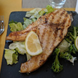 Fish Experience Nourriture