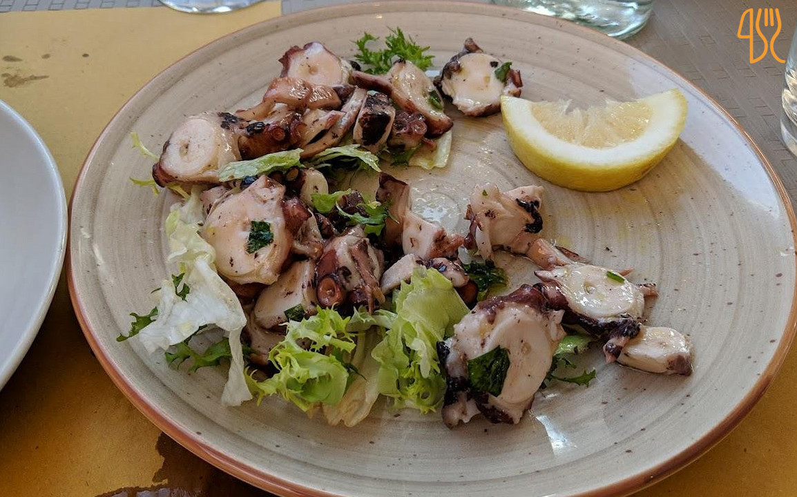 Fish Experience Food