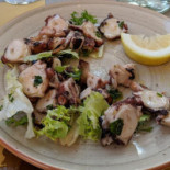 Fish Experience Food