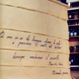 Pinsami Ancona Carte
