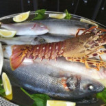 Nautilus Comida