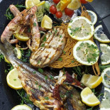 Nautilus Comida